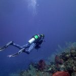 Scuba Diving in Roatan